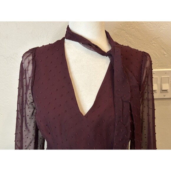 Modcloth Apogee of Elegance Swiss Dot Chiffon Burgundy Fit Flare Dress 6 AQ3513f - Picture 4 of 16